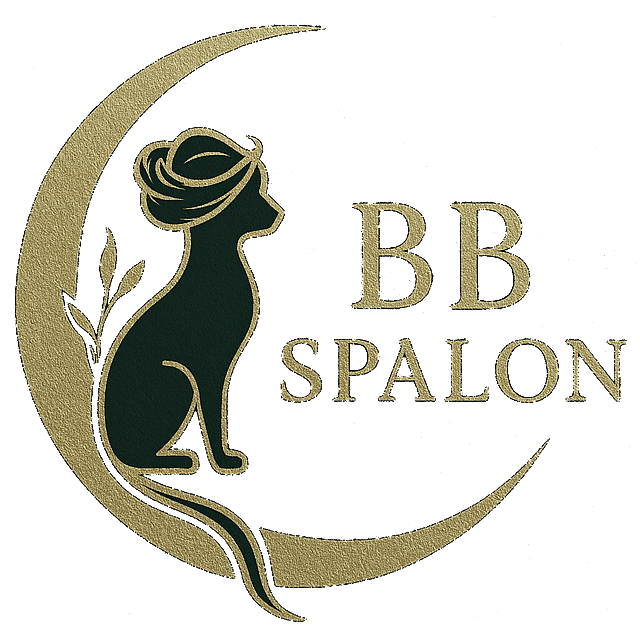 BB SpAlon logo